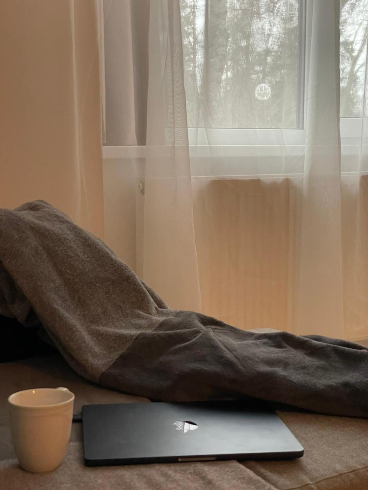 Taikos Apartmentai 2 Druskininkai Dış mekan fotoğraf